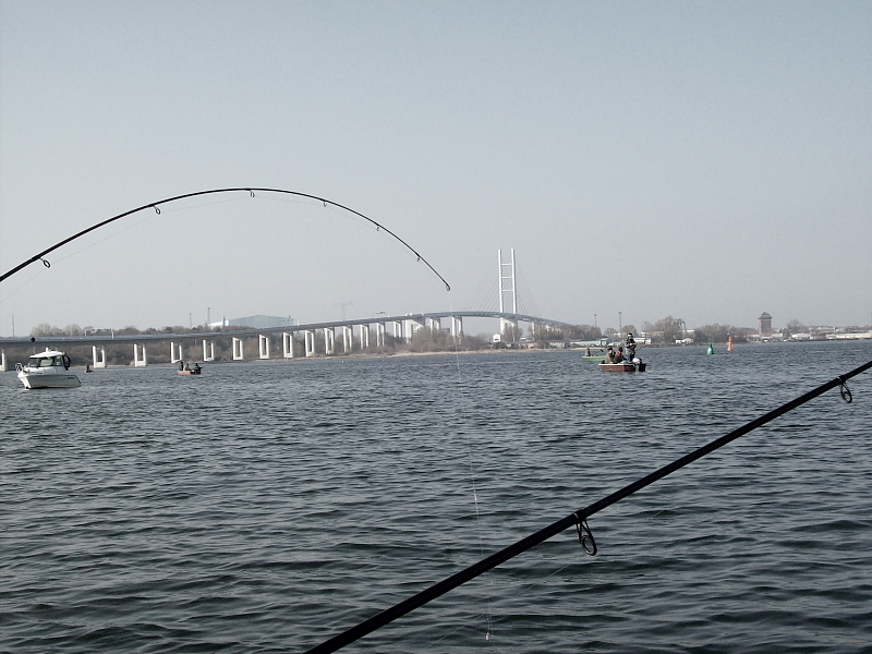 Killikus® Fotographie Killikus® Fotographie